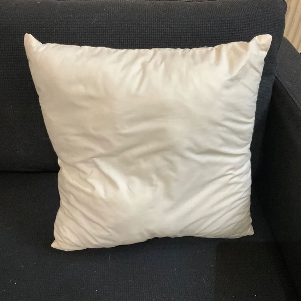 Cat Pillow Soft Throw Pillow about  17x17” For the Crazy Cat lady in your life